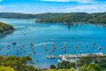 Property photo of 50 Minkara Road Bayview NSW 2104