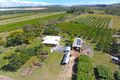Property photo of 460 Springs Road Paddys Green QLD 4880
