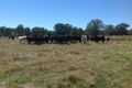 Property photo of 1213 Kiewa Valley Highway Kiewa VIC 3691