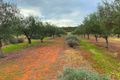 Property photo of 81 Tenth Road York WA 6302