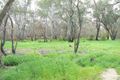 Property photo of 67 Pakenham Street Echuca VIC 3564