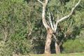 Property photo of 35 Lake Drive Narrandera NSW 2700