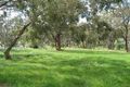 Property photo of 45 Rules Road Young NSW 2594
