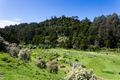 Property photo of 1145 Barham River Road Apollo Bay VIC 3233