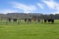 Property photo of 110 Stumpy Gully Road Balnarring VIC 3926