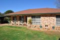 Property photo of 33 Furlong Street Dubbo NSW 2830