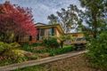 Property photo of 45 Luchetti Avenue Hazelbrook NSW 2779