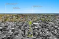 Property photo of 1/50 Cochrane Street Cranbourne VIC 3977
