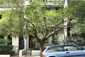 Property photo of 41 Cambridge Street Paddington NSW 2021