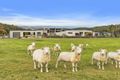 Property photo of 384 Saddle Road Kettering TAS 7155