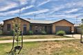 Property photo of 14 Sunset Avenue Echuca VIC 3564
