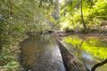 Property photo of 59 High Chapparal Road Kuranda QLD 4881