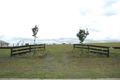 Property photo of 4 Sandstone Drive Windella NSW 2320
