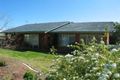 Property photo of 146 Edward Street Gunnedah NSW 2380