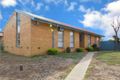 Property photo of 24 McCoubrie Avenue Sunshine West VIC 3020
