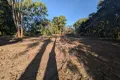 Property photo of 83 Forrest Drive Forrest Beach QLD 4850