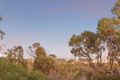 Property photo of 5 Milyarm Rise Swanbourne WA 6010