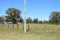 Property photo of 14 Moonul Street Eumungerie NSW 2822