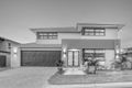 Property photo of 11 Echidna Street Karawatha QLD 4117