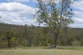 Property photo of 7836 Isis Highway Dallarnil QLD 4621