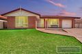 Property photo of 41 Kent Road Narellan Vale NSW 2567