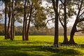 Property photo of 9 Copse Way Cowaramup WA 6284
