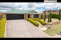 Property photo of 24 Buckley Drive Drewvale QLD 4116