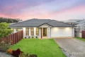 Property photo of 72 Logging Crescent Spring Mountain QLD 4300