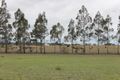 Property photo of 41 Derrick Avenue Dalby QLD 4405