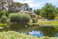 Property photo of 235 Portland Cullen Bullen Road Portland NSW 2847