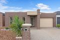Property photo of 23 Jackaroo Street Mernda VIC 3754