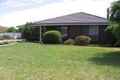 Property photo of 43 Freeling Street Naracoorte SA 5271