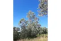 Property photo of LOT 51 Friarbird Drive Moolboolaman QLD 4671