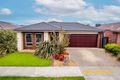 Property photo of 18 Elodea Way Cranbourne North VIC 3977