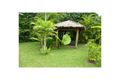 Property photo of 186 Munro Street Babinda QLD 4861