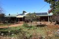 Property photo of 28 Forrest Street Wagin WA 6315