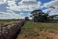 Property photo of 430 Frost Road Sandleton SA 5356