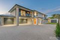 Property photo of 49 Ashdown Street Sunnybank Hills QLD 4109