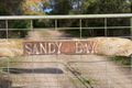 Property photo of 111 Sandy Road Fingal VIC 3939