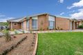 Property photo of 9 Throsby Drive Narellan Vale NSW 2567