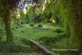 Property photo of 5 O'Ryan Close Gwelup WA 6018
