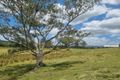 Property photo of 17-139 Kropp Road Woodford QLD 4514