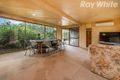 Property photo of 11 Maculata Walk Vermont South VIC 3133