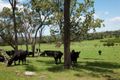 Property photo of 69 Cooks Road Glenworth Valley NSW 2250