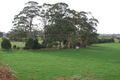Property photo of 69 Emerald Vale Road Wynyard TAS 7325