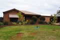 Property photo of 3 Caffrey Court Irymple VIC 3498