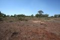 Property photo of 81 Josh Road Southern Cross QLD 4820
