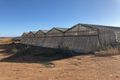 Property photo of 56 Vickery Road Virginia SA 5120