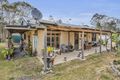 Property photo of 3612 Towamba Road Burragate NSW 2550