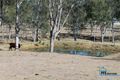 Property photo of 66 Poplar Street Walloon QLD 4306